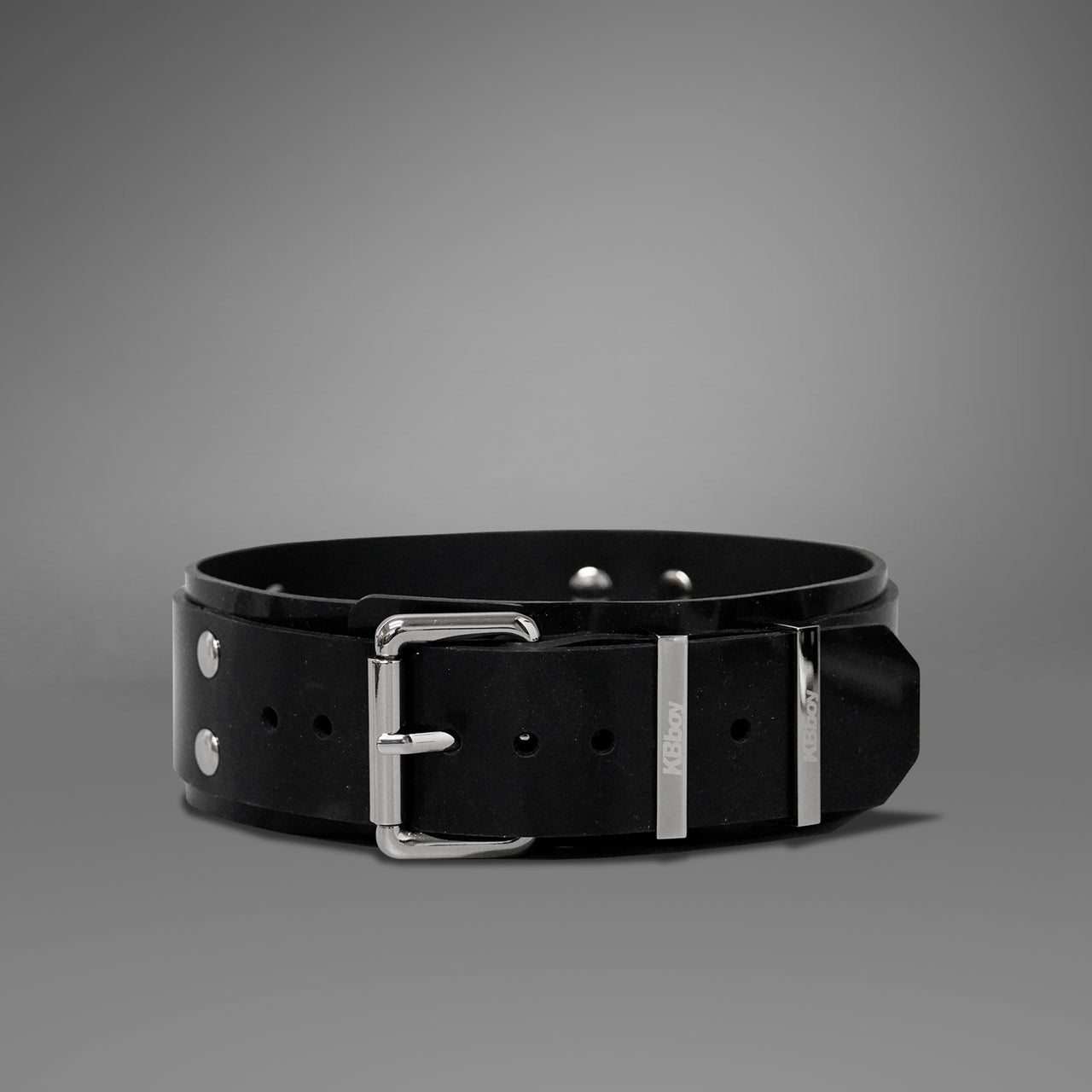 Buckle Style Silicone Collar