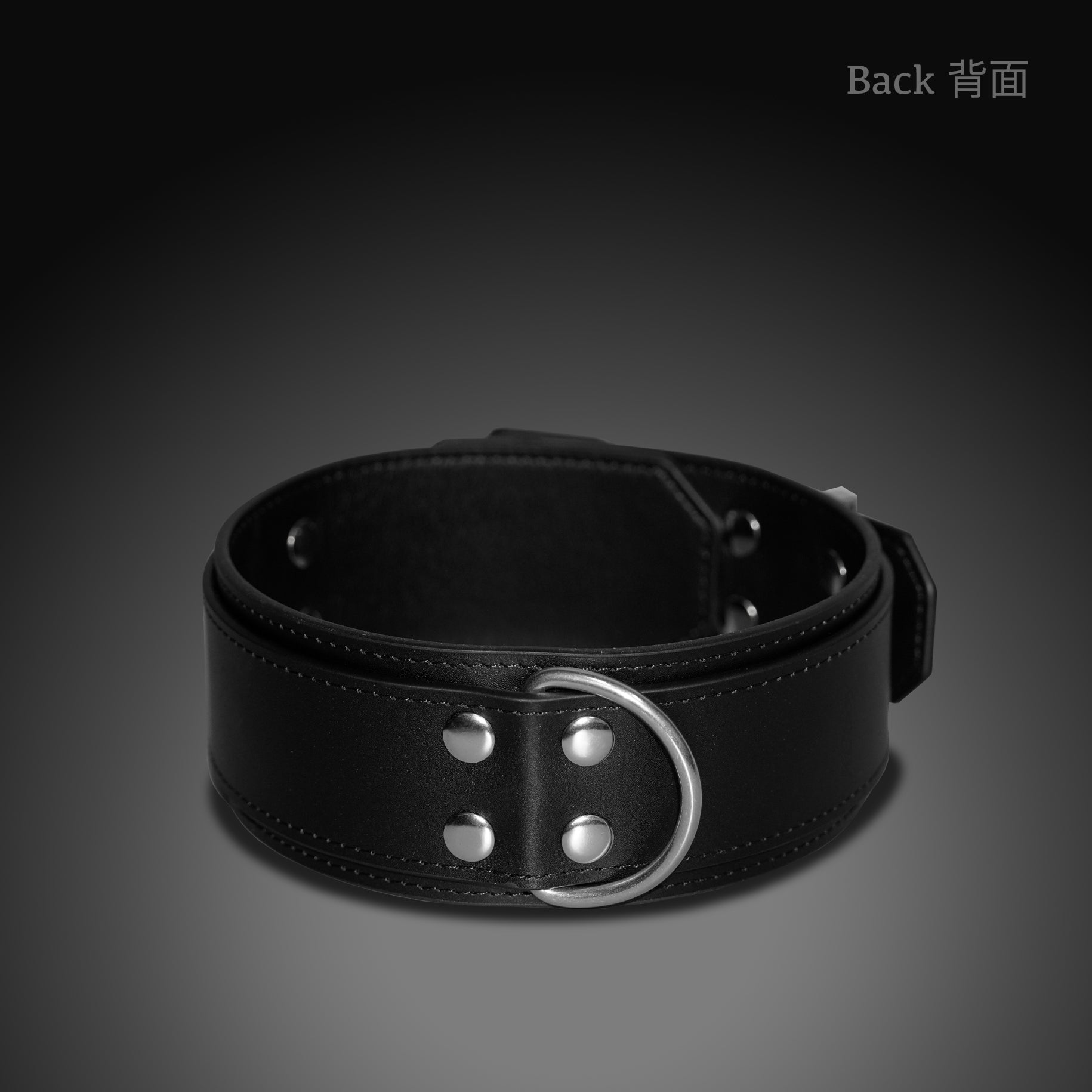 Buckle Style Leather Collar