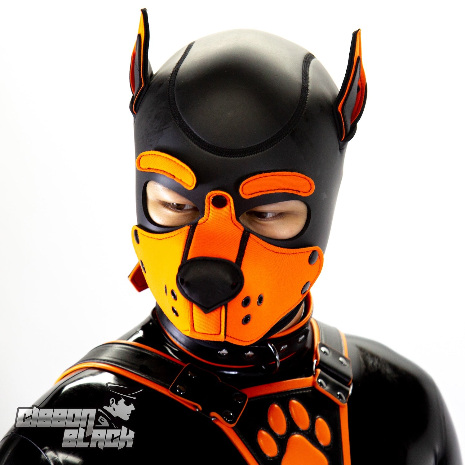 Gibbon Black® スタンダードネオプレーンパピーフード（貼り付け眉毛3種付き）