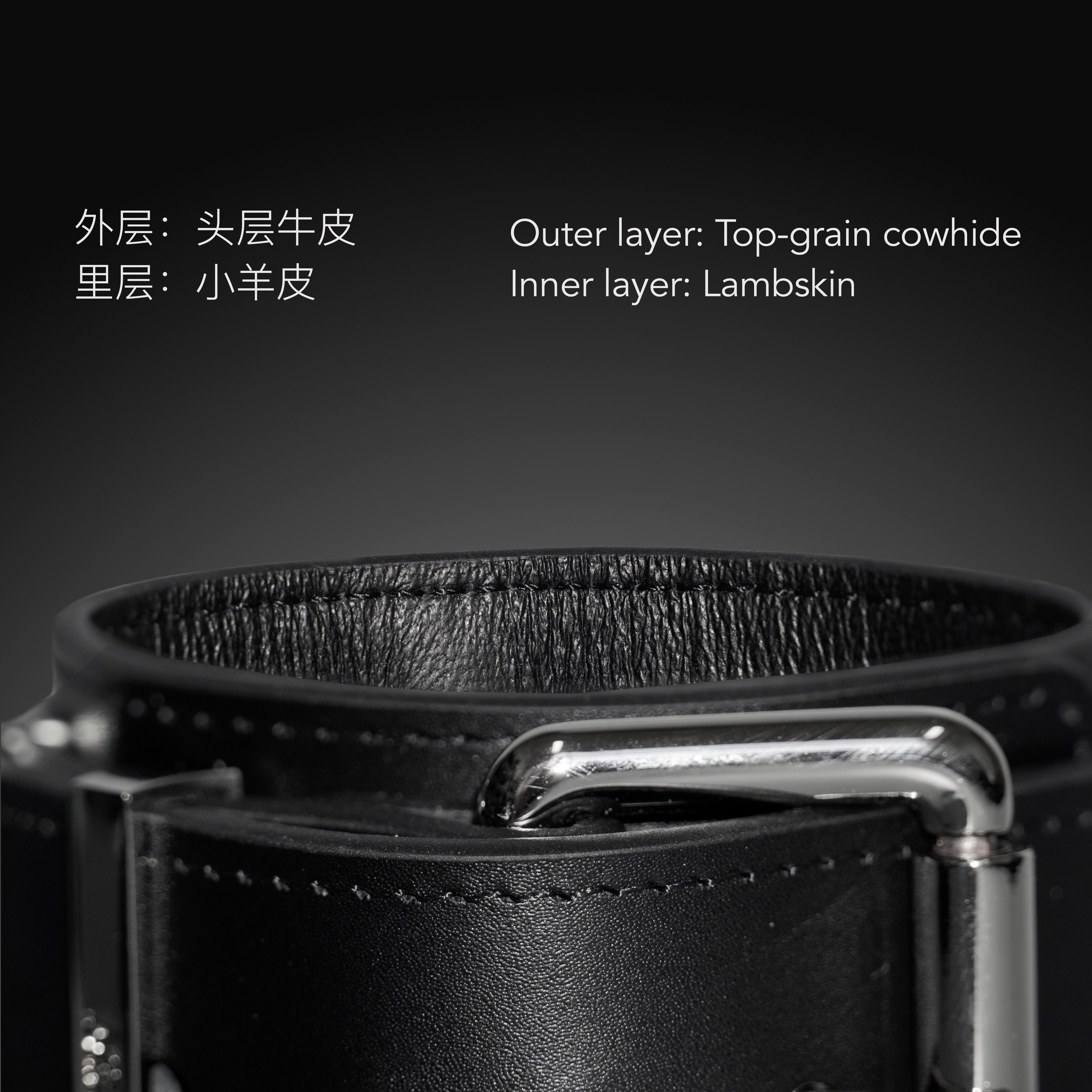 Buckle Style Leather Collar