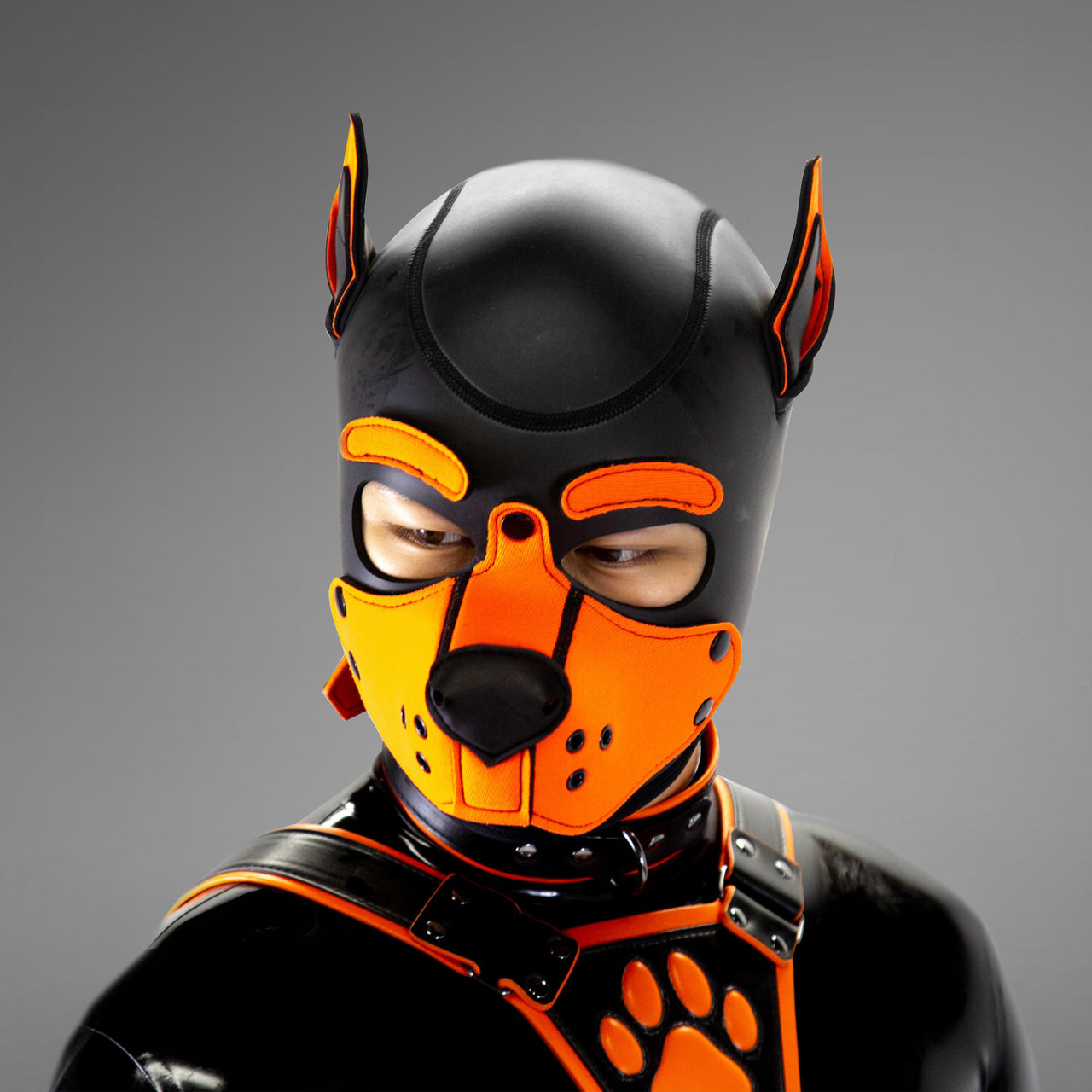 Gibbon Black® Standard Neoprene Puppy Hood (3 Stick-on Eyebrows)