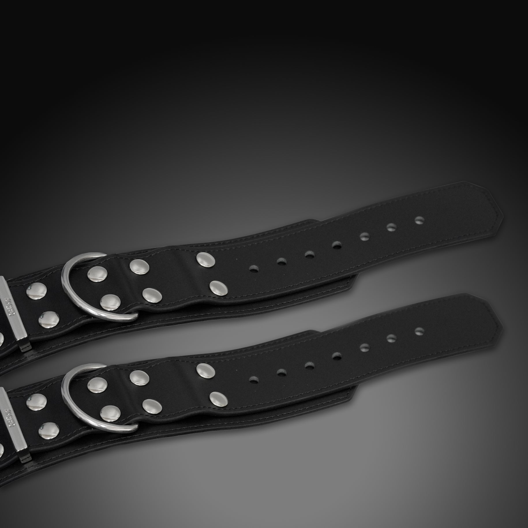 Buckle Style Leather Restraints