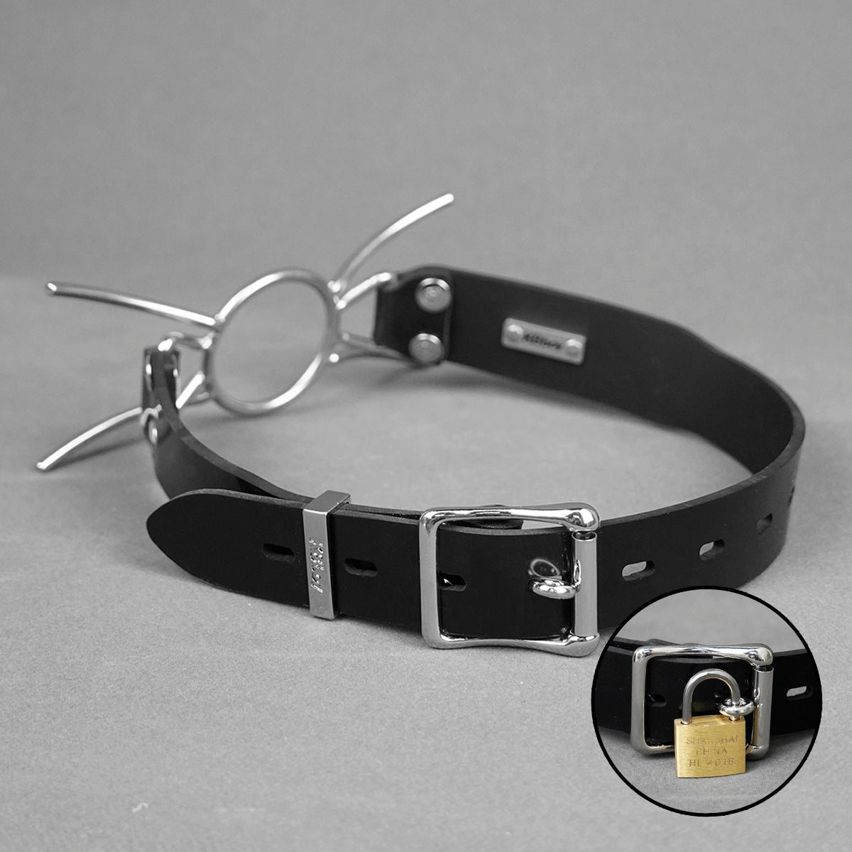 Stainless Steel Spider Gag