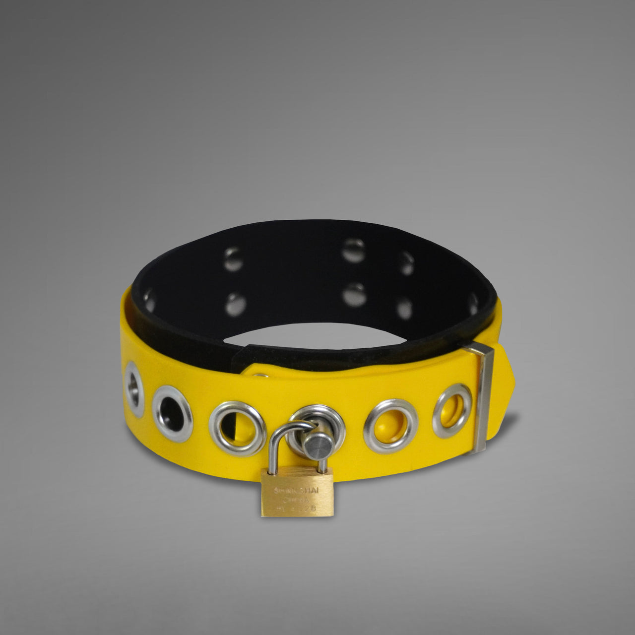 Dual-Colored Silicone Collar