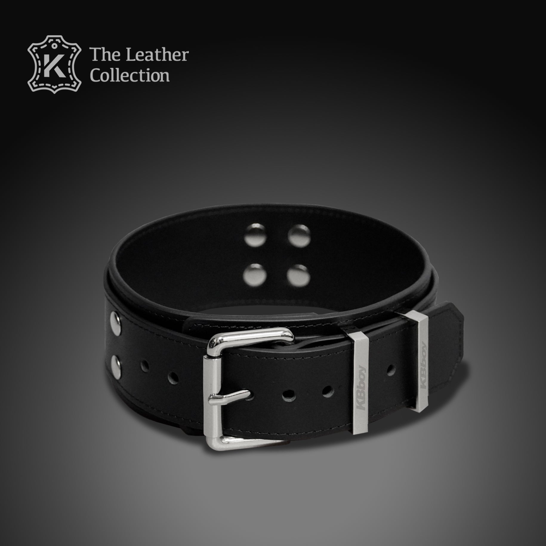 Buckle Style Leather Collar